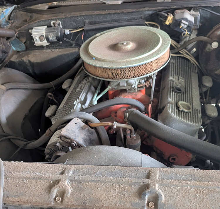 CHEVELLE OF THE MONTH