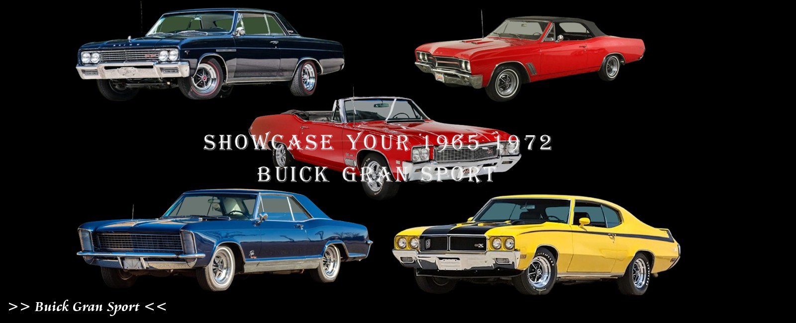 intro_buickgs_registry