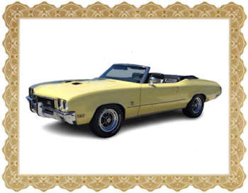  �  Buick GS REGISTRY- All Rights Reserved