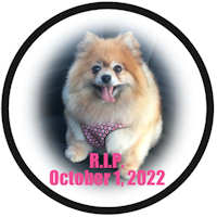 &copy; Stickers And Calendars