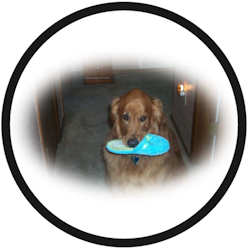 &copy; Stickers And Calendars