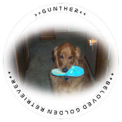 &copy; Stickers And Calendars