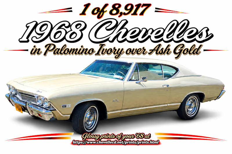© ChevelleWorld