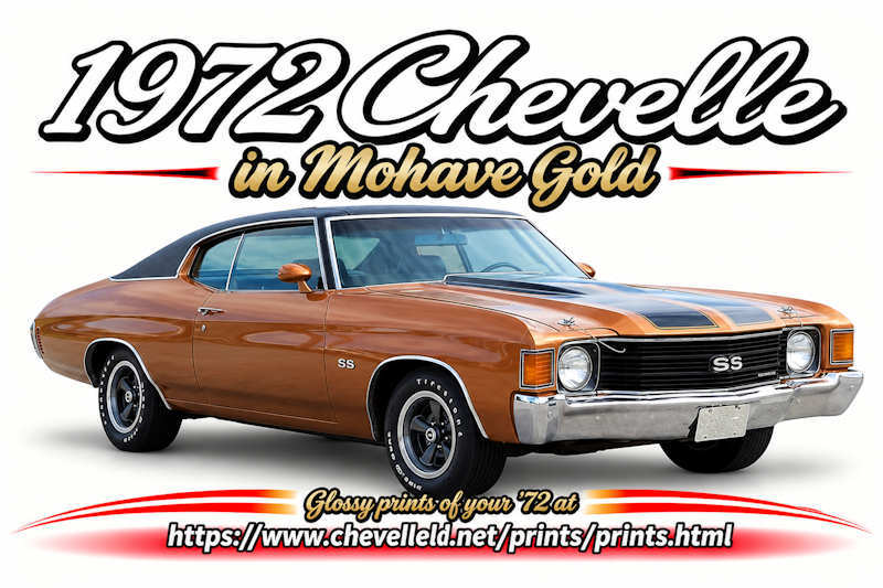 © ChevelleWorld