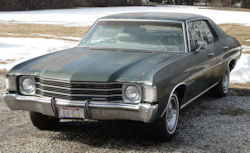 48 48 ~ Sequoia Green