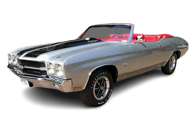  LS6 REGISTRY - All Rights Reserved