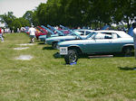 Copyright © Mid-America Chevelle Club