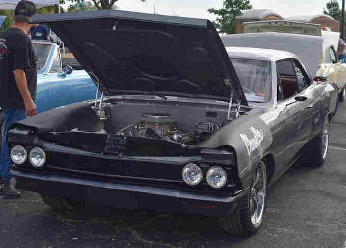 Photo Copyright © Webs By Dale