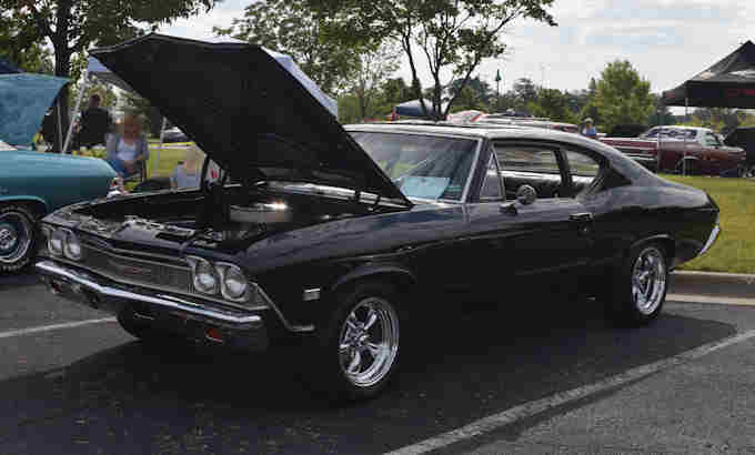 Photo Copyright © Webs By Dale