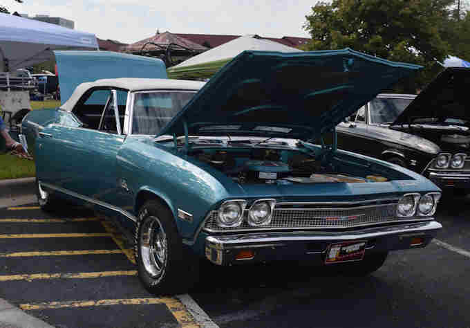 Photo Copyright © Webs By Dale