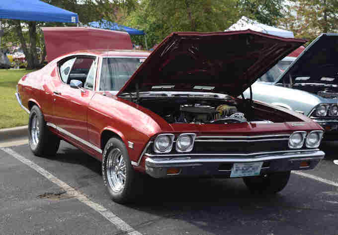 Photo Copyright © Webs By Dale