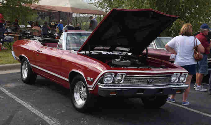 Photo Copyright © Webs By Dale