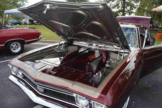 Photo Copyright © Webs By Dale