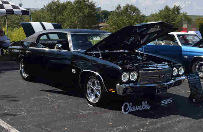 Photo Copyright © Webs By Dale
