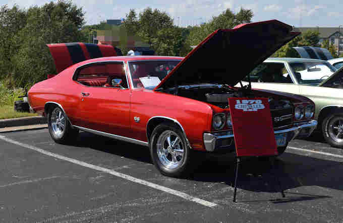 Photo Copyright © Webs By Dale