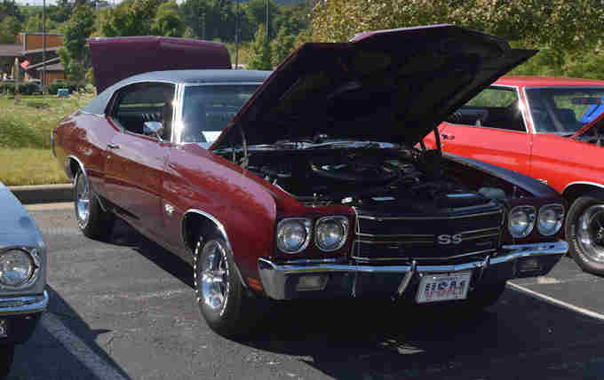 Photo Copyright © Webs By Dale