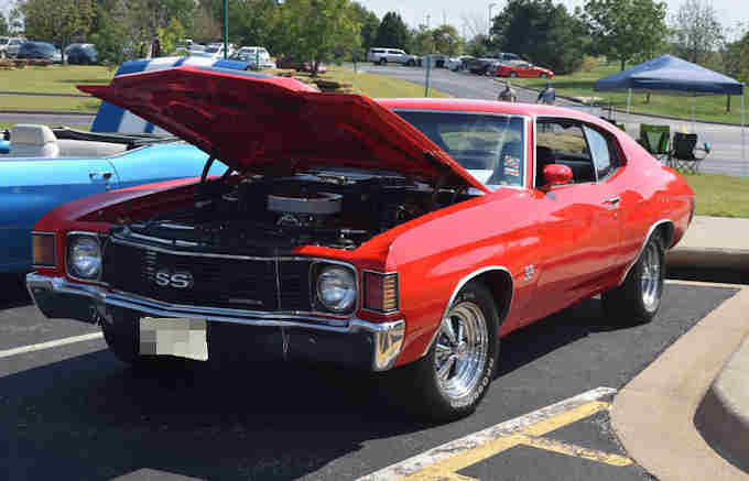 Photo Copyright © Webs By Dale