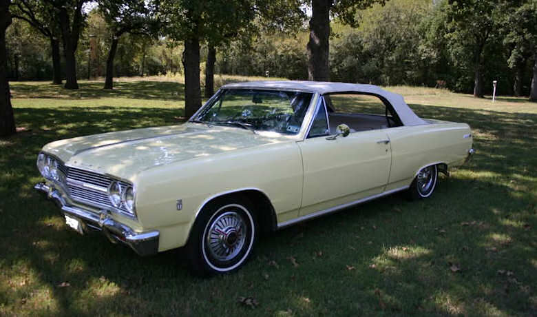  � MALIBU SS REGISTRY - All Rights Reserved