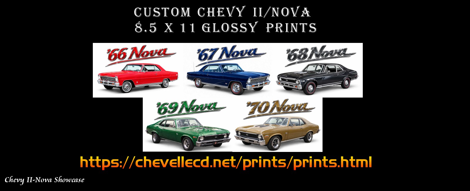 intro_prints_custom