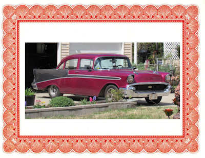 � TriFive Registry & Showcase